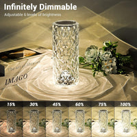 Rose Crystal Diamond LED Table Lamp