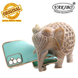 VAKIBO Golden Chrome Border Pista Green Coloured Soft TPU Back Cover Case With Camera Protection Suitable for Samsung Galaxy F23 5G