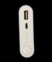 Riban PB 165 Powerbank 10400Mah Micro  | 10400 mAh Portable Power Bank Compact, Fast-Charging Backup Power