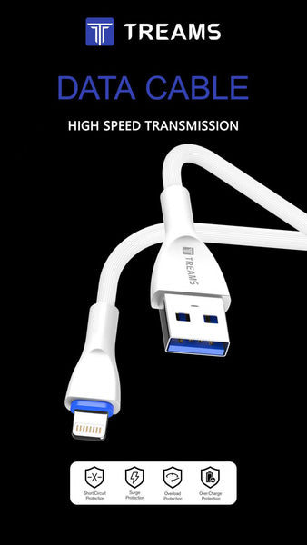 Treams TR 61 Data Cable For iPhone 1M