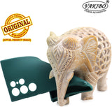 VAKIBO Matte 1.5 MM Thick With Camera Protection Green Coloured Soft TPU Back Cover Case Suitable for Samsung Galaxy S22 Ultra